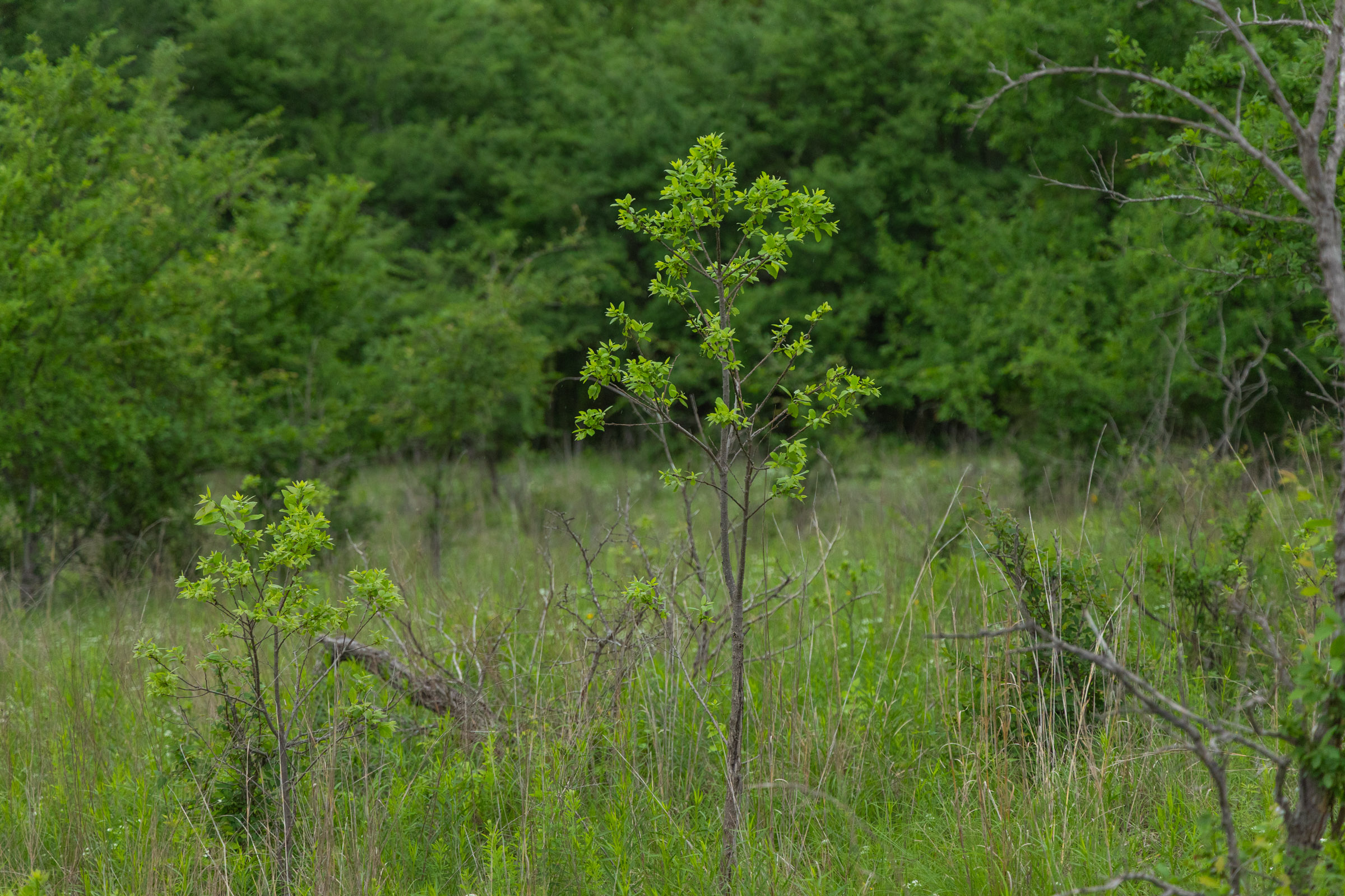 Tract 2 at Harmony Hills in Pittsburg County, Oklahoma