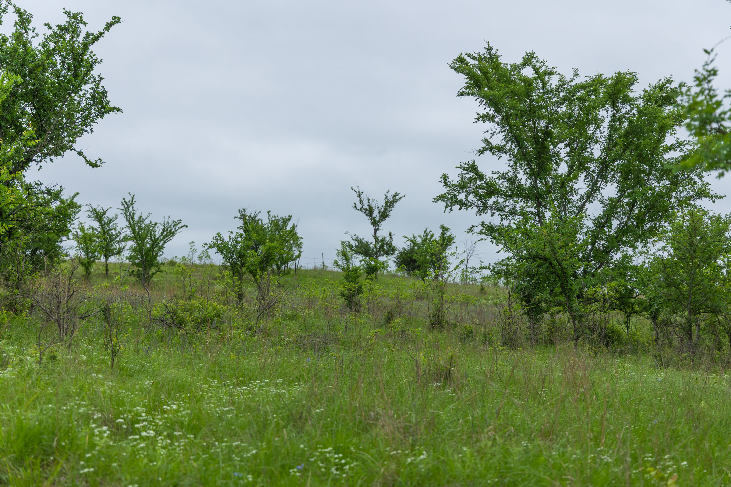 Tract 3 at Harmony Hills in Pittsburg County, Oklahoma