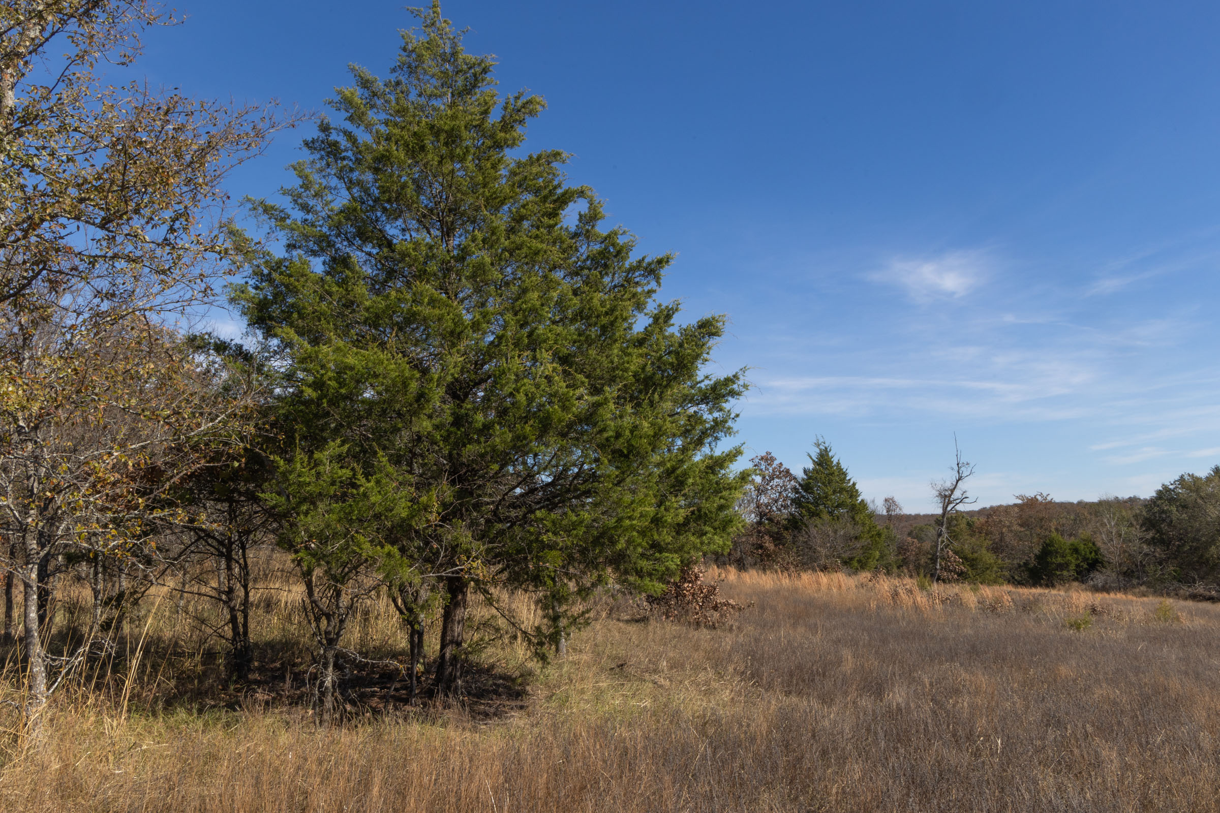 Tract 36 at Harmony Hills in Pittsburg County, Oklahoma