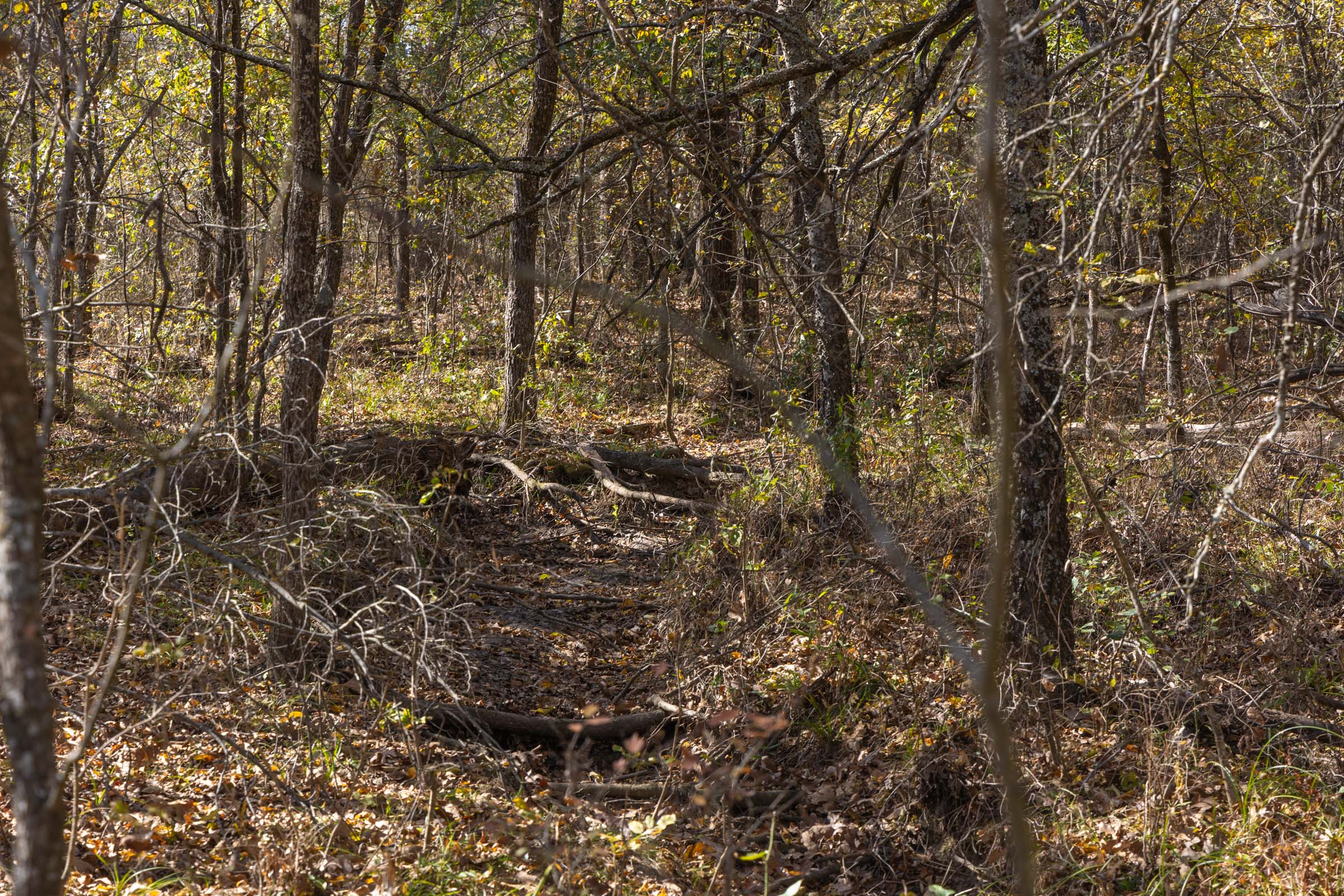 Tract 39 at Harmony Hills in Pittsburg County, Oklahoma