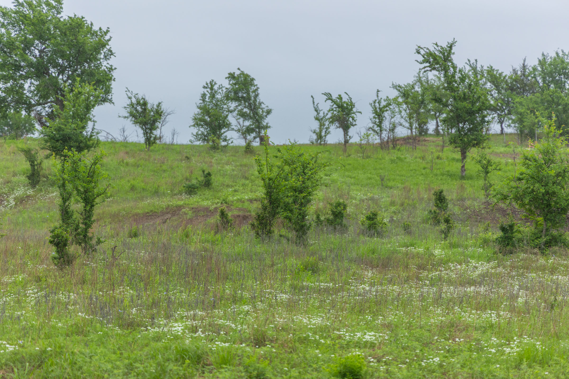 Tract 4 at Harmony Hills in Pittsburg County, Oklahoma