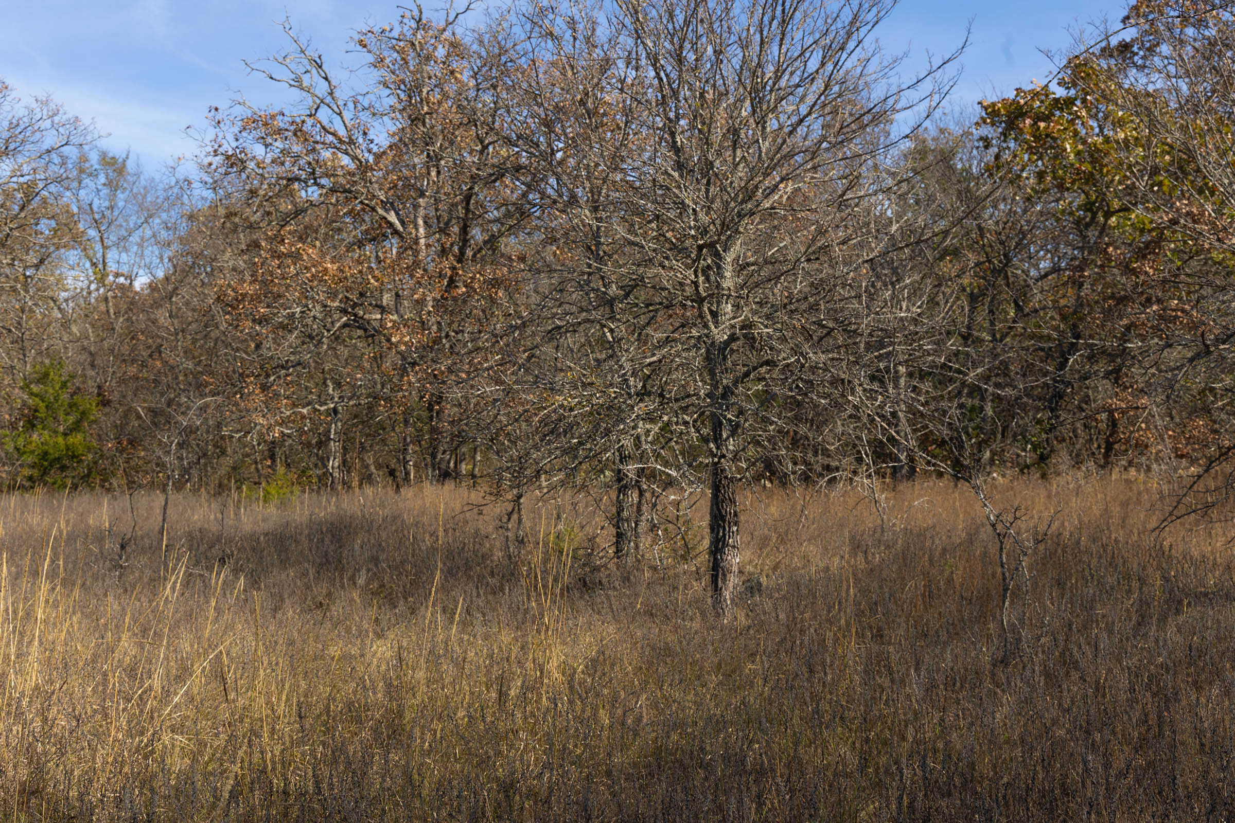 Tract 47 at Harmony Hills in Pittsburg County, Oklahoma