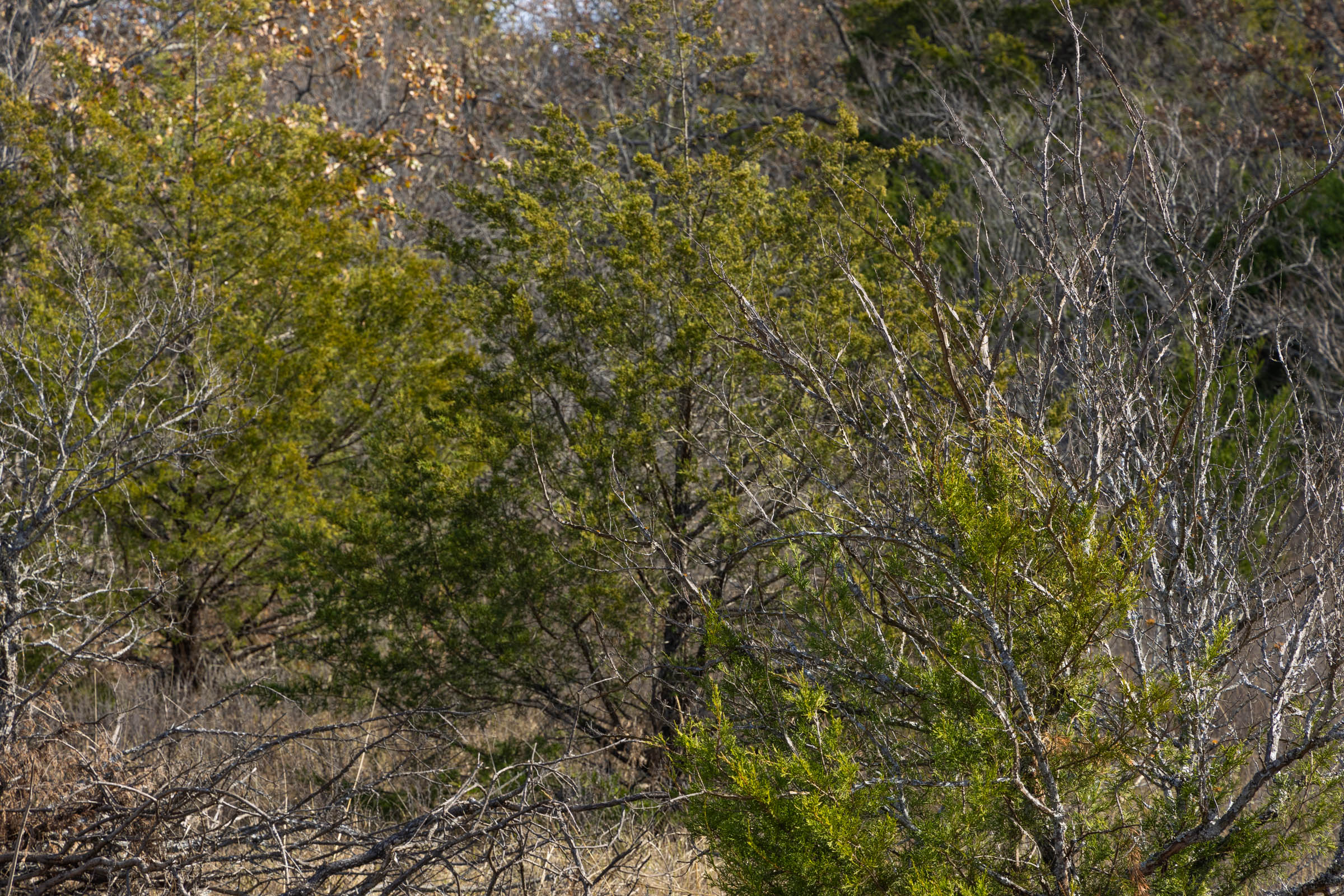 Tract 49 at Harmony Hills in Pittsburg County, Oklahoma