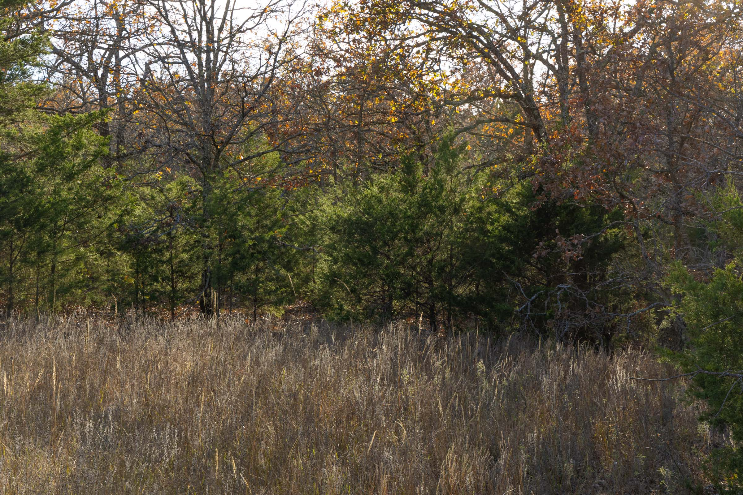 Tract 51 at Harmony Hills in Pittsburg County, Oklahoma