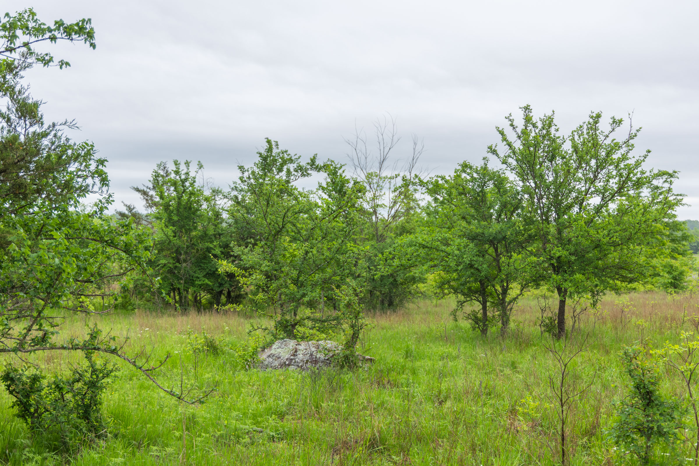 Tract 7 at Harmony Hills in Pittsburg County, Oklahoma